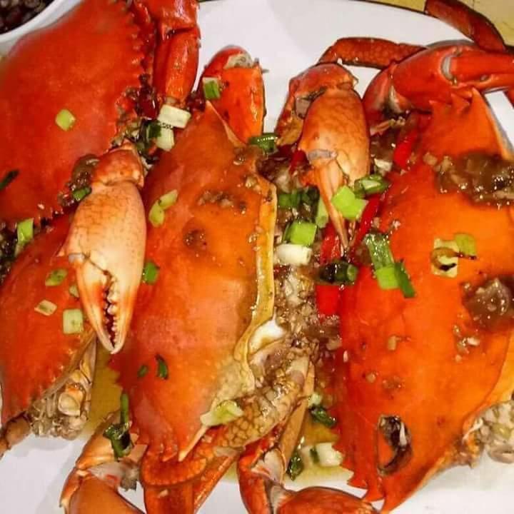 Arrys Watukarung Surfcamp Hotel Kalak Ngoại thất bức ảnh
